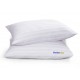 Market Fairy 16x24 Inch Standard Size Fiber Pillow - Soft and Supportive Sleep Pillow for Neck (Pack of 2)